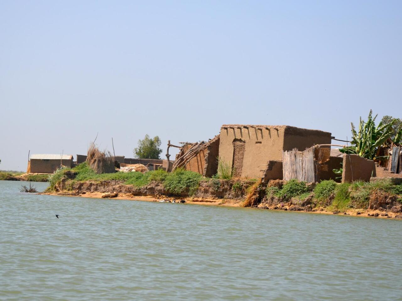 tandjilé